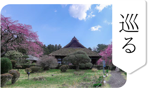 巡る