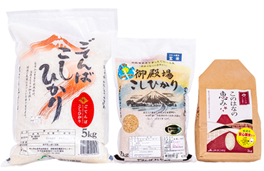 ごてんばこしひかり