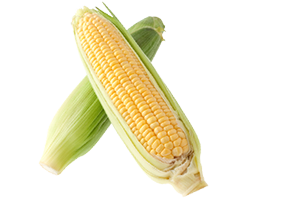 とうもろこし