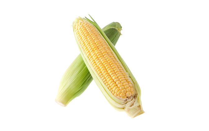 とうもろこし